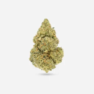 Mimosa Sativa Strain AAA 3.5g | 24% THC | Exotic Despensary