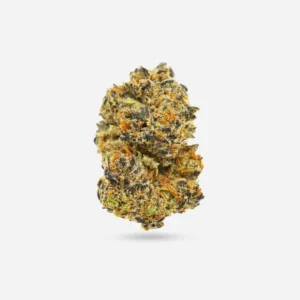 Biscotti Indica AA cannabis flower – 25% THC