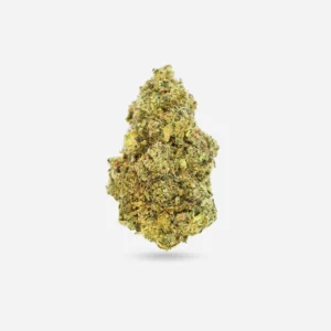 Space Cake Hybrid AA cannabis flower at a cannabis dispensary near me"
