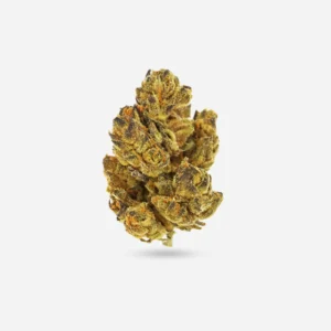 Moon Berry Indica 3.5 Grams premium exotic cannabis strain