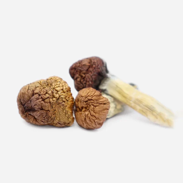 Medicinal Mushrooms in USA