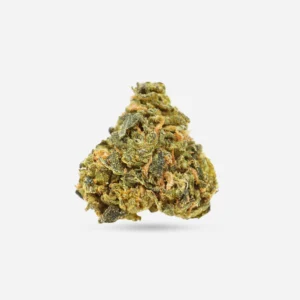 Orange Daiquiri cannabis strain – 1/8 ounce premium Sativa flower