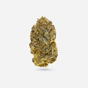 Stardawg Indica Strain 3.5g premium cannabis flower