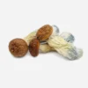 Penis Envy Magic Mushrooms 1 Fresh Penis Envy Magic Mushrooms for sale near me