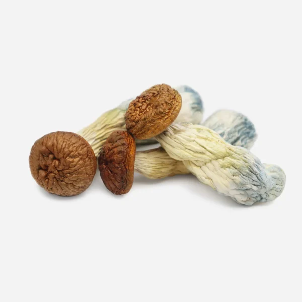 Fresh Penis Envy Magic Mushrooms for sale near me