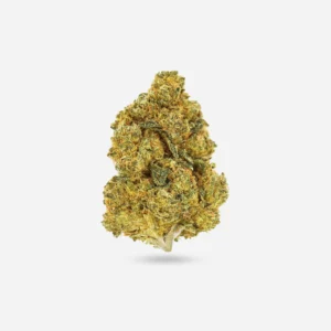 Grape Ape Indica cannabis strain 3.5 grams by Exotic Despensary